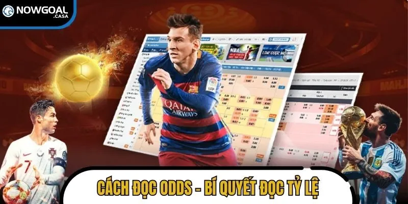 cách xem Odds